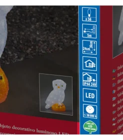 Chouette Lumineuse Led Acrylique, 36 Cm